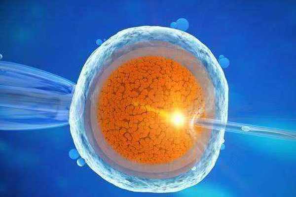 资阳靠谱代孕中心,什么是试管胚胎等级，试管胚胎等级如何区分-冻胚解冻养囊