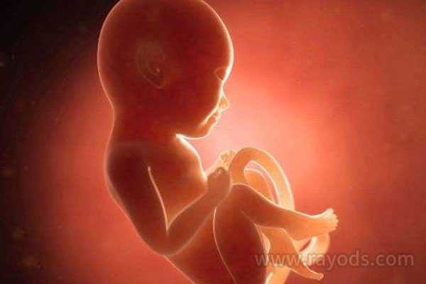 柳州代怀小孩哪家靠谱,做试管移植多个胚胎成功率就会变高？或许有隐情_上海