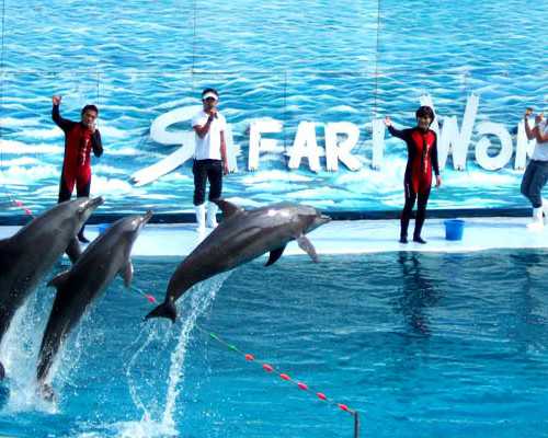 本溪代怀机构|杭州助孕公司哪家靠谱-三代试管私立医院