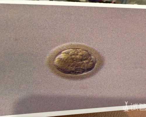 南京代怀龙凤胎|山东供卵试管供卵包男孩医院排名？附医院介绍？