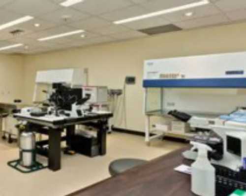 代怀小孩哪家靠谱_哪里有女人代怀的,香港dna查男女哪家医院好_dna胎儿性别是骗