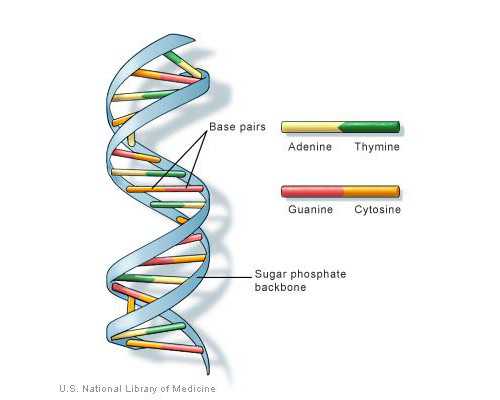 (a)供卵代孕成功率,香港供卵三代试管婴儿医院大全，流程费用成功率都有详细