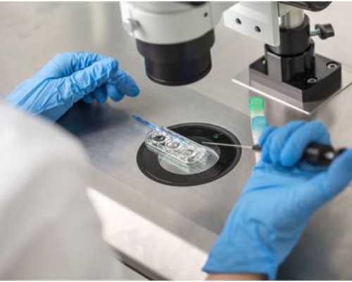 代怀男孩子_代怀价格,试管婴儿的成功率价格多少_南京代怀供卵公司-子宫大小