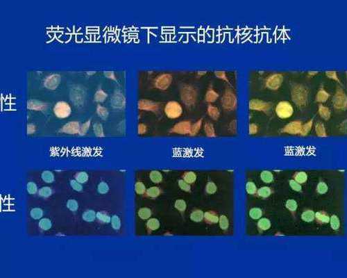 (a)代孕有哪些流程,淮南第三代试管婴儿费用大约多少？安徽三代试管最好的医