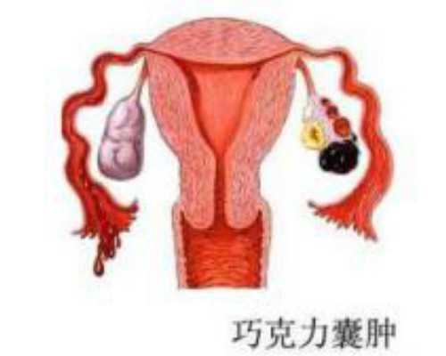 (a)哪里有正规的代孕中心,吉林三代试管选性别供卵机构名单汇总，看完便知哪