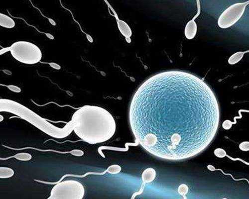 为什么去泰国做试管婴儿？泰国试管AMH低能成功吗？