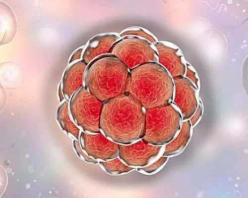 备孕阶段的碳水饮食：影响、需求与禁忌解析