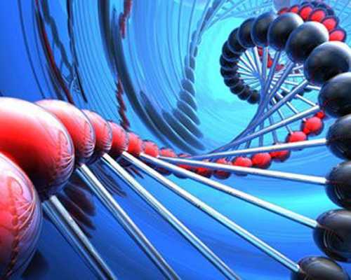 代怀网多少费用_代怀小孩价格多少,重庆试管哪个医院可以选择性别？_南京代怀