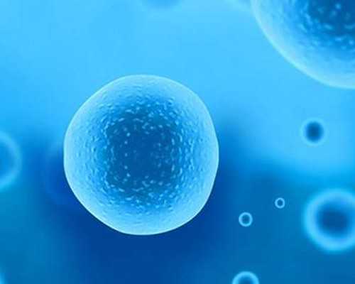 深圳生育险报销标准比例