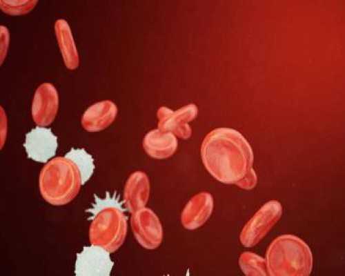 1造成胚胎配成率的原因