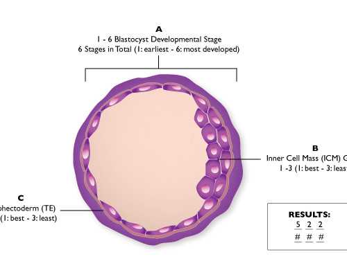 代怀机构哪家好_自然代怀过程,试管长方案降调要多久长方案有哪些优势_南京代