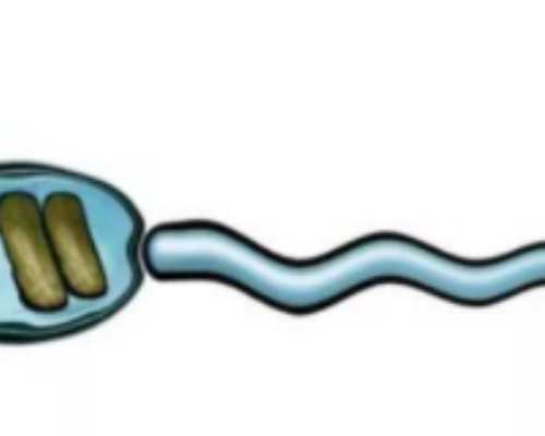 最新代怀价格_代怀双胞胎,贵州供卵试管生殖中心排名，2024
贵州供卵代怀生子