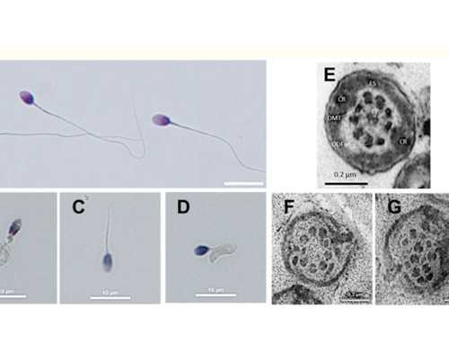 婆媳关系最明显的三个时期