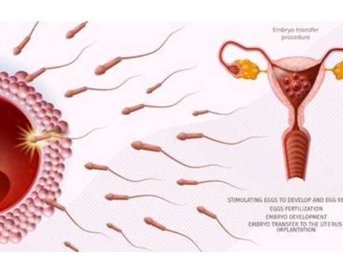 福州试管代怀生男孩|长春供卵三代试管费用多少钱？