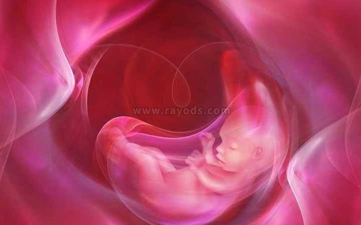 大港53岁借卵生子_显微取精后几天可以做试管胚胎？