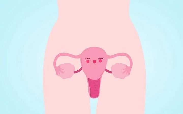 巴南38岁供卵的成功率高吗_试管婴儿微刺激促排卵方案适用于多囊卵巢患者吗？