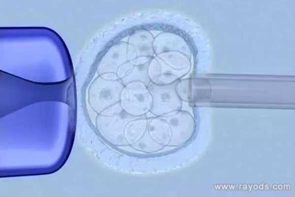 莱芜私人机构做借卵试管_降调在做试管婴儿中的重要作用