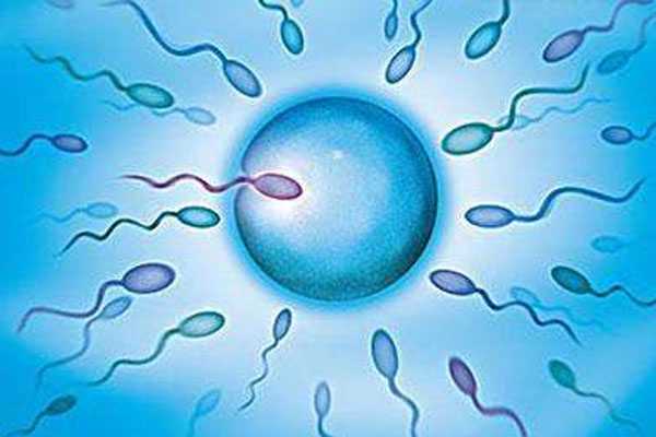 巢湖55岁供卵能成功吗_巢湖41岁供卵的成功率有多大_试管婴儿对精子有哪些要求