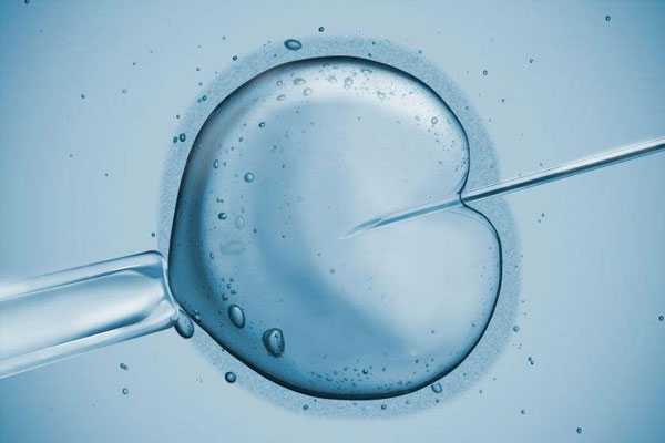通化借卵子知乎_试管婴儿怀多胎后为什么需要减胎?