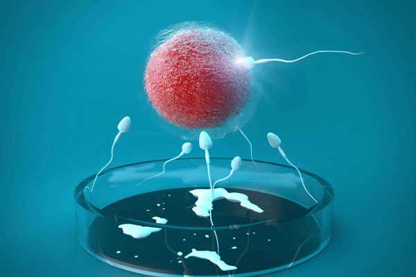 云阳借卵生子的孩子是谁的_卵巢囊肿做试管有几种方案应该选哪种？