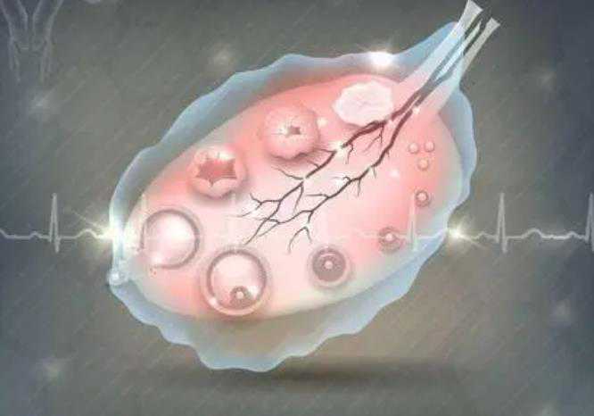 急找个女人代怀_有代怀生男孩_抚州三代试管移植几个胚胎
