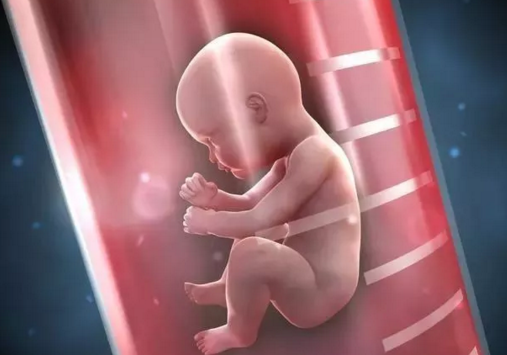 广东代怀宝宝男孩子_金华有了第二家能做试管婴儿的医院 东阳首例试管婴儿胚
